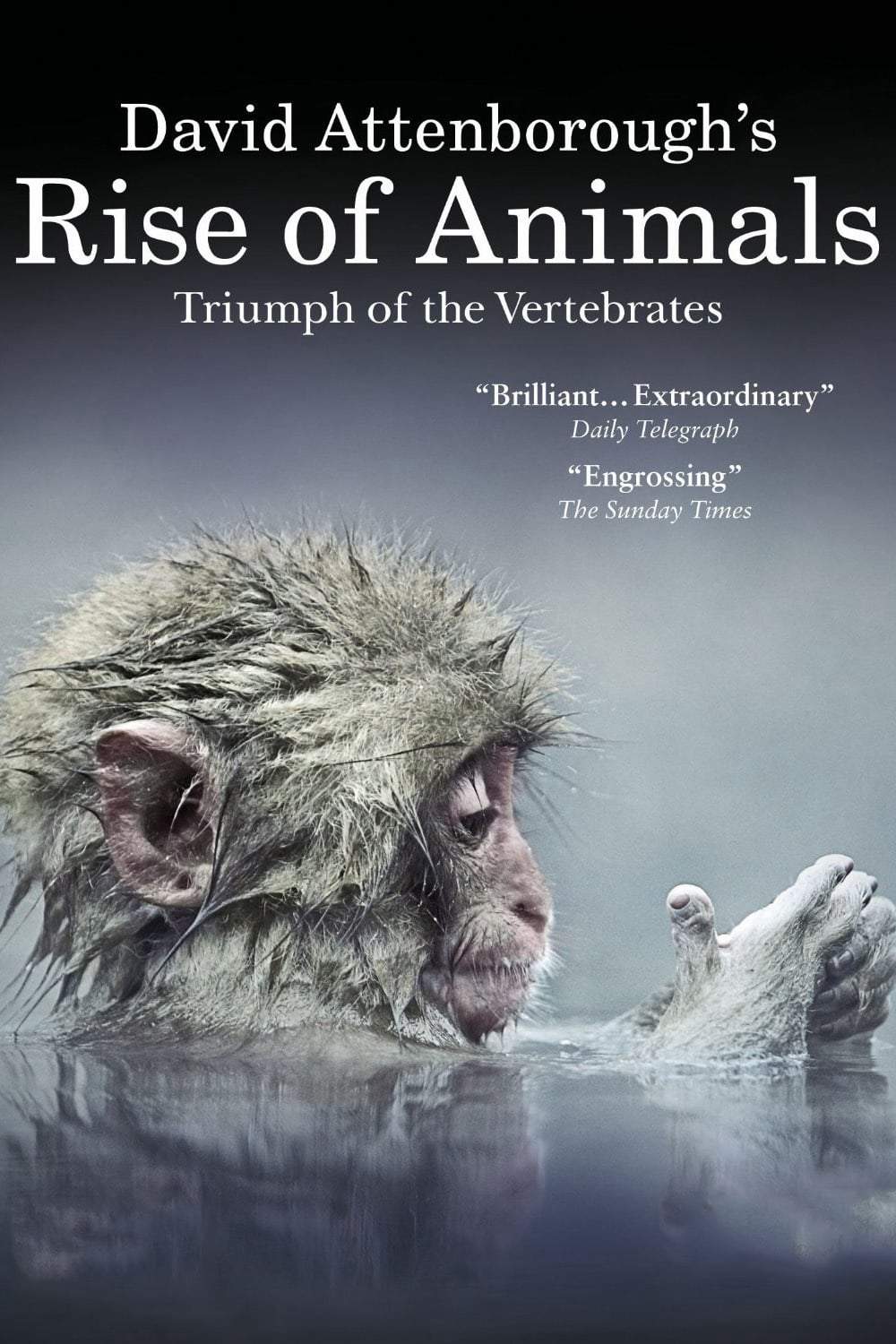 David Attenborough’s Rise of Animals: Triumph of the Vertebrates